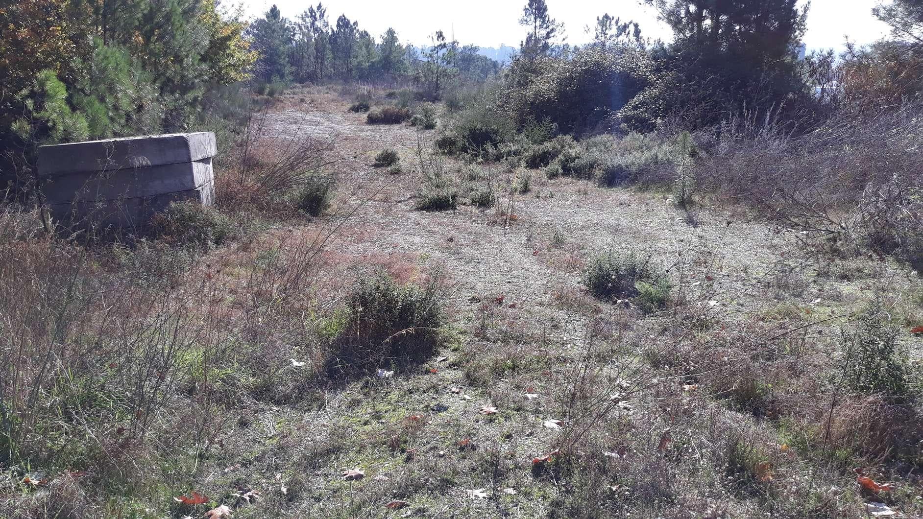 IMOVEL - Prédio Urbano - Parcela de terreno com 8.778m2 destinada a construção urbana. Sito no Bairro das Oli ... — imagen 5