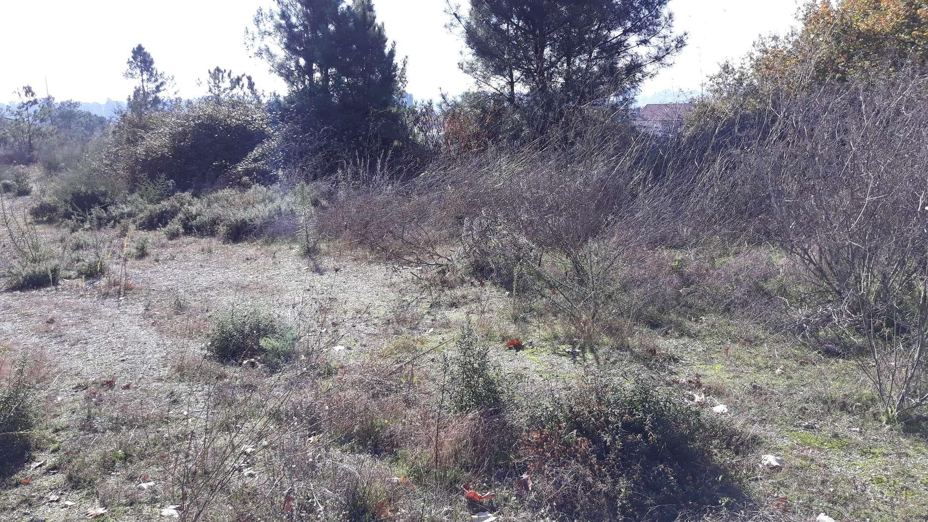 IMOVEL - Prédio Urbano - Parcela de terreno com 8.778m2 destinada a construção urbana. Sito no Bairro das Oli ... — imagen 7