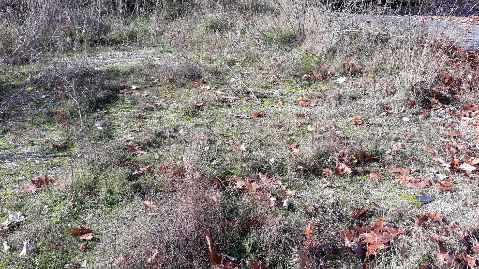 IMOVEL - Prédio Urbano - Parcela de terreno com 8.778m2 destinada a construção urbana. Sito no Bairro das Oli ... — imagen 9