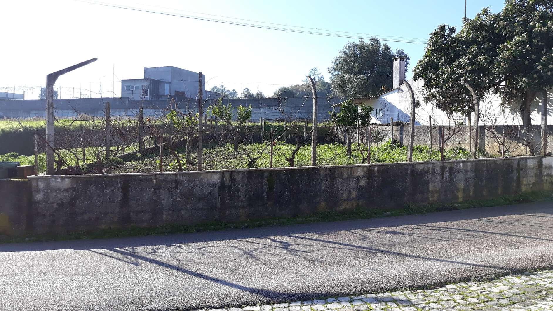 Part successorale · Tomar — image 4