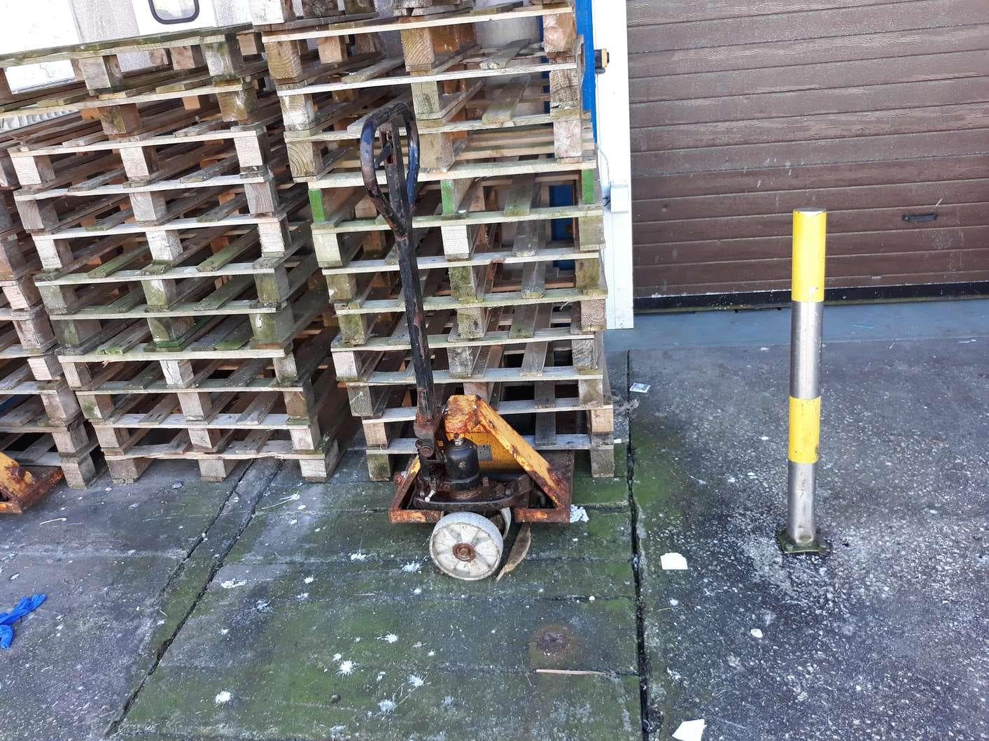 Maquinaria Ind. Alimentar · Empilhadores · Câmara Frigorífica — image 10