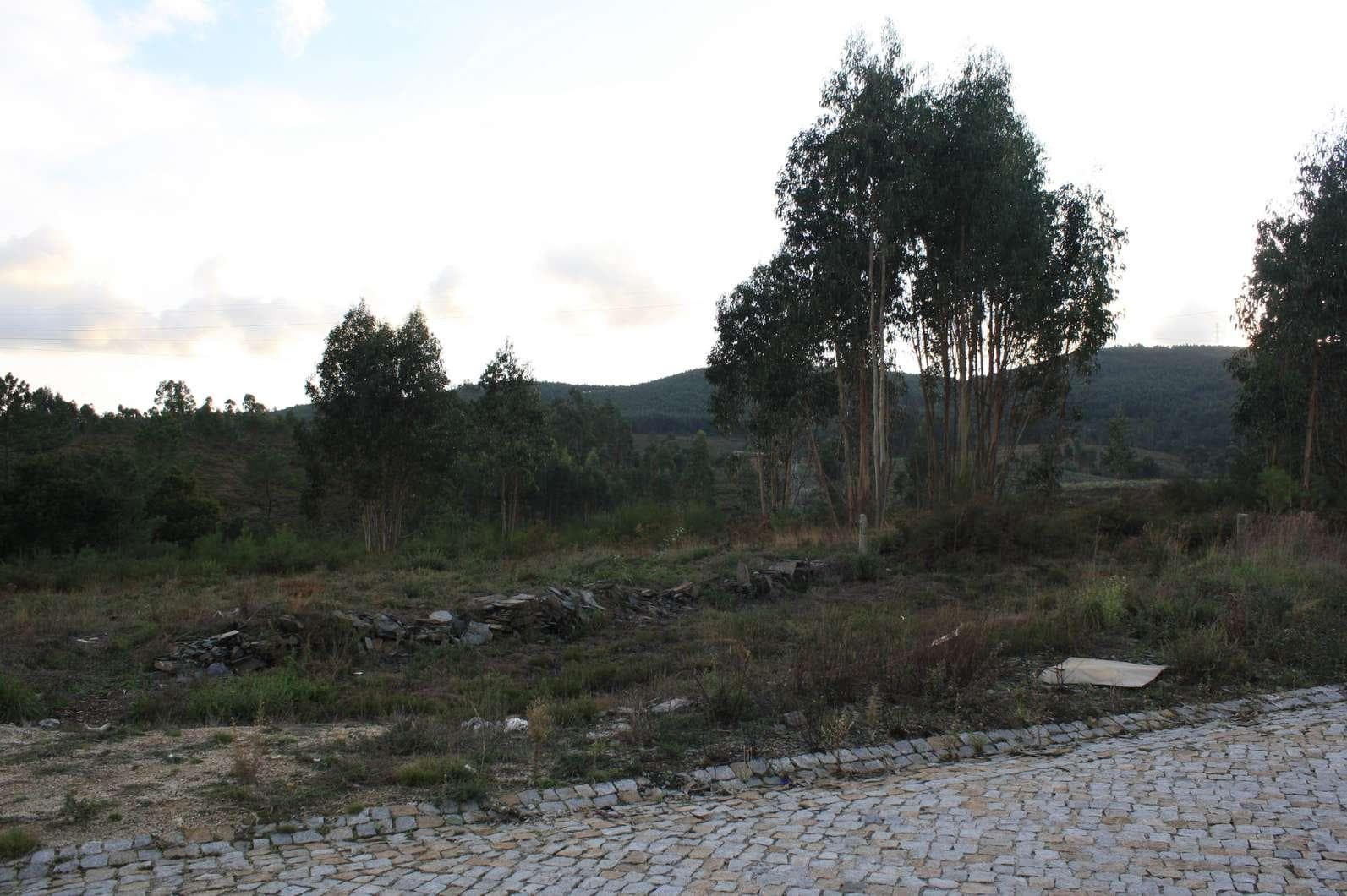 Lote para Construção · Paredes — imagem 2
