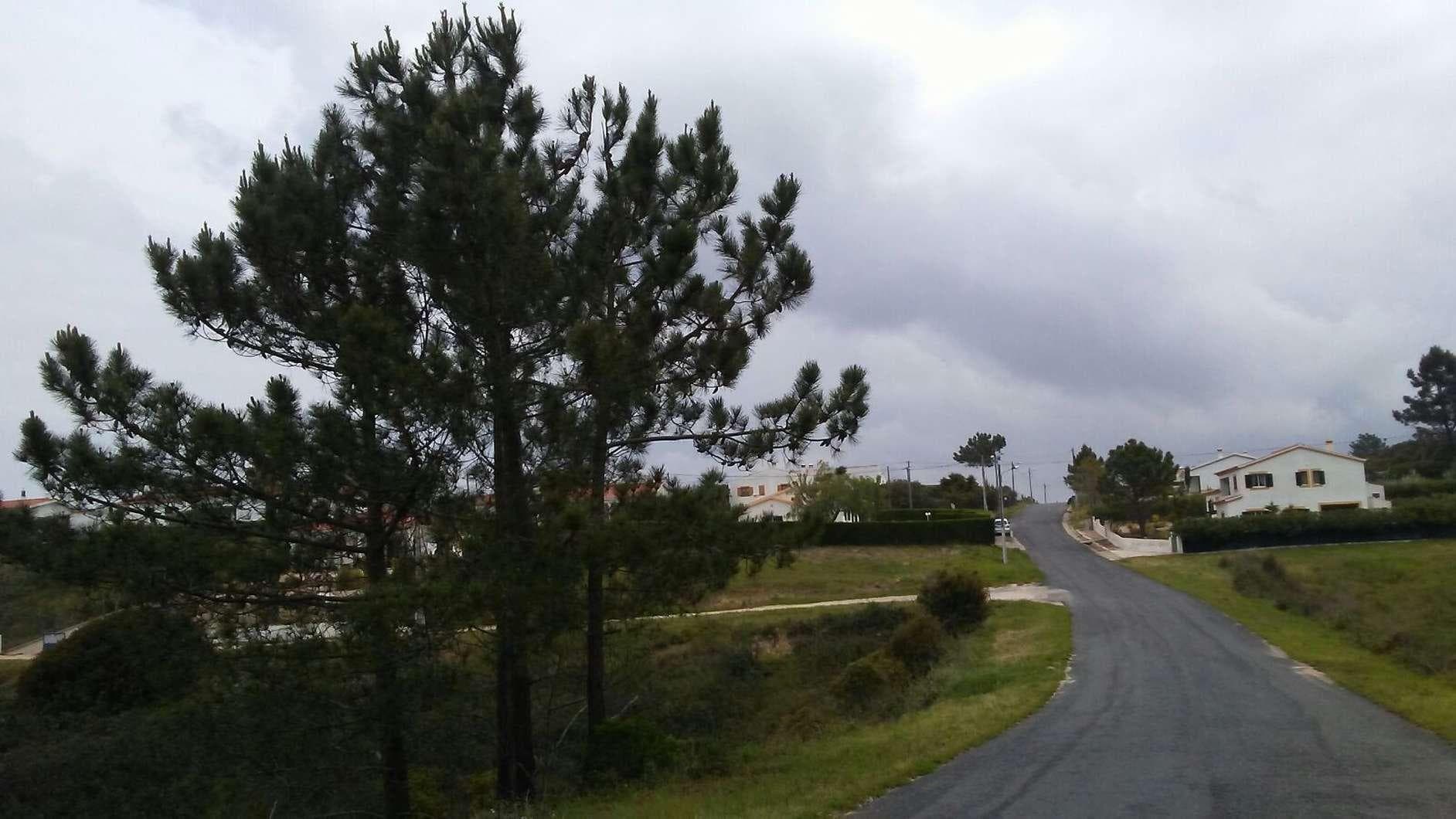 Lote para Construção · Aljezur — image 6