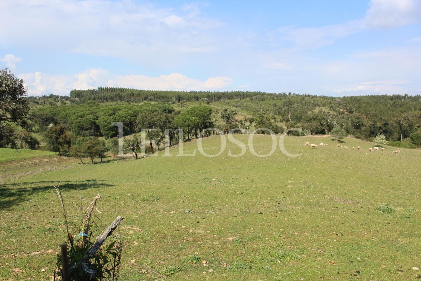 Quinhão Hereditário de Moradia + Terreno · Santiago do Cacém — imagem 2