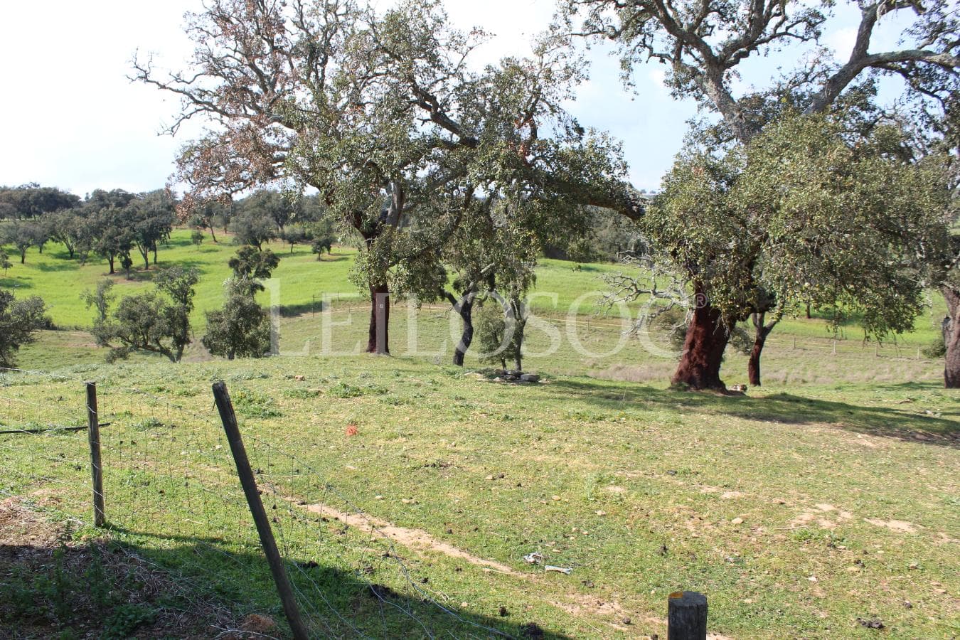 Quinhão Hereditário de Moradia + Terreno · Santiago do Cacém — imagem 4