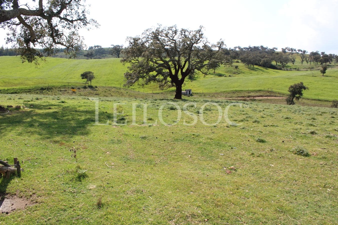Quinhão Hereditário de Moradia + Terreno · Santiago do Cacém — imagem 6