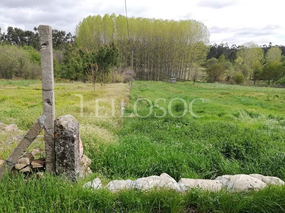 Armazém + Terrenos · Tondela — imagen 7
