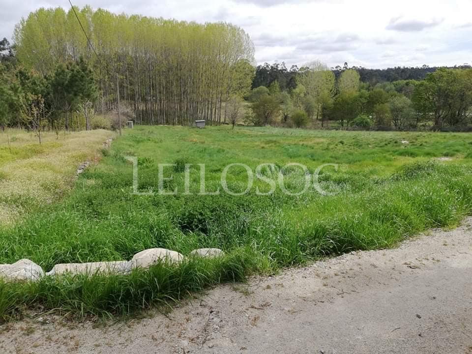 Armazém + Terrenos · Tondela — imagen 11