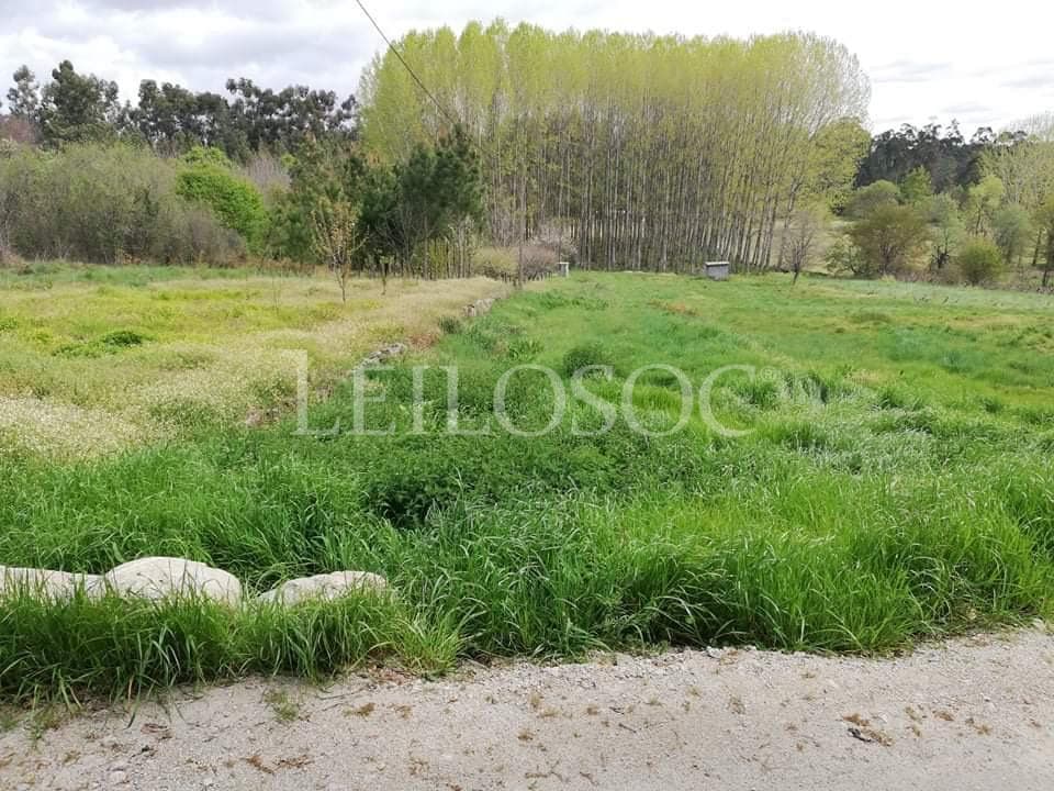 Armazém + Terrenos · Tondela — imagen 14