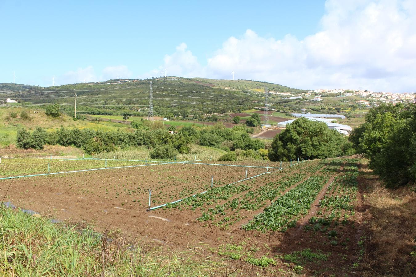 Terreno