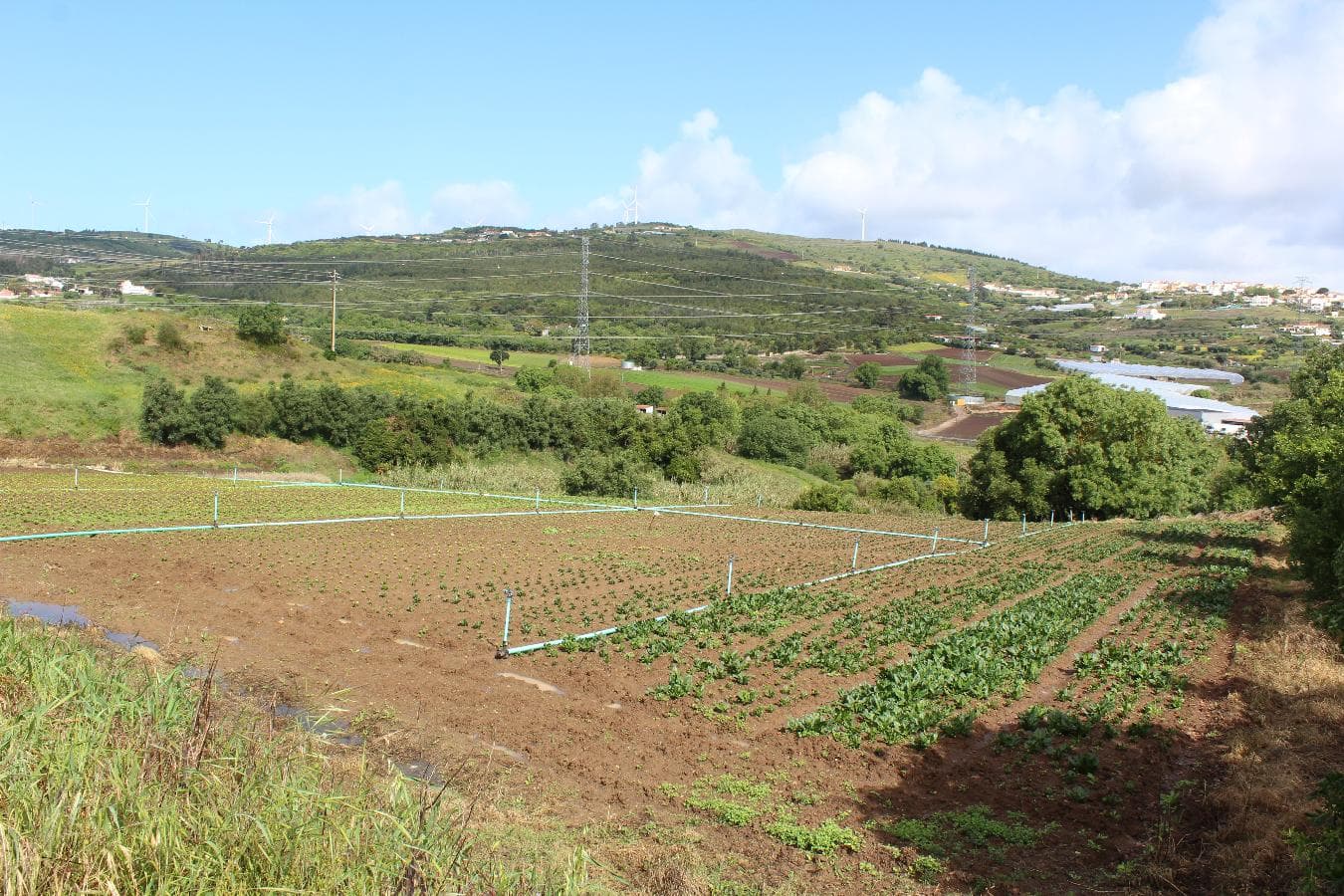 Terreno · Loures — image 2