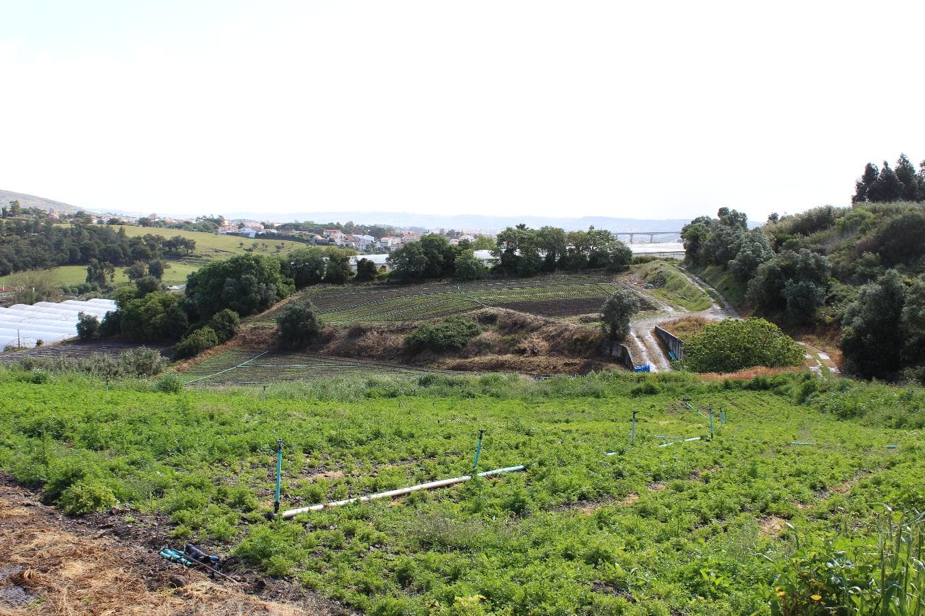 Terreno · Loures — image 6