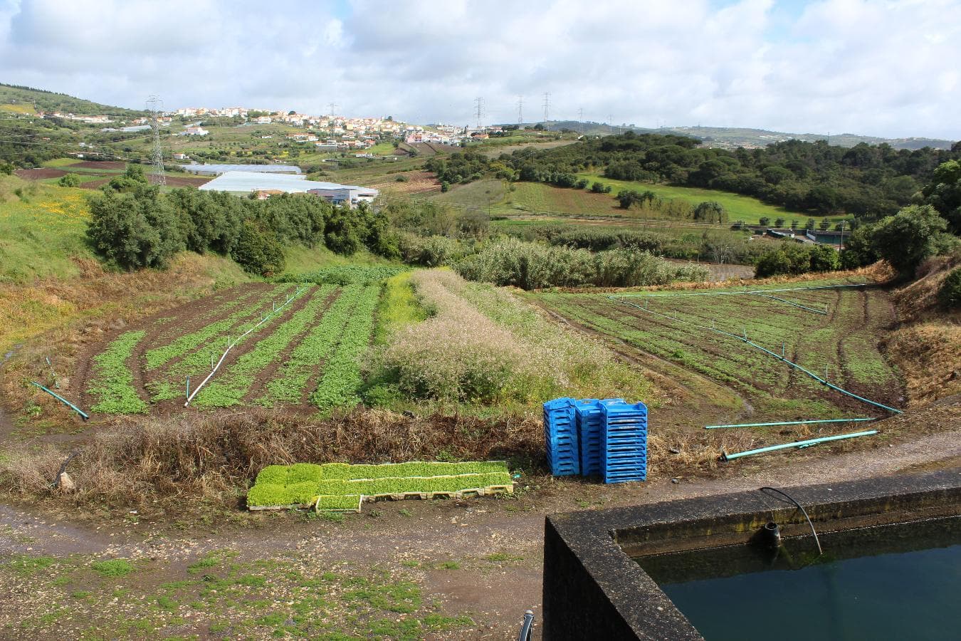 Terreno · Loures — image 4