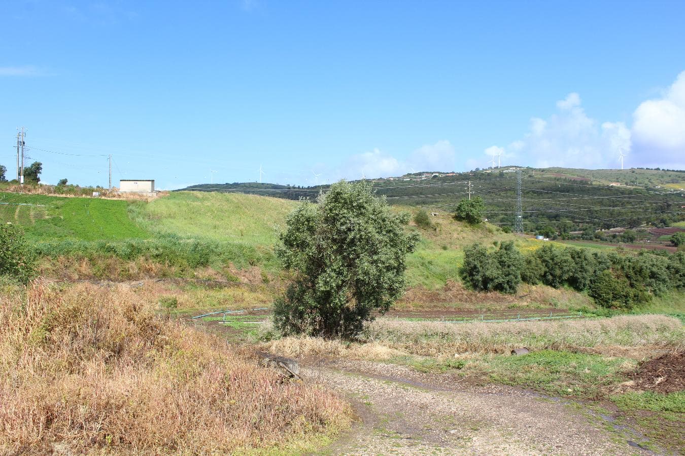 Terreno · Loures — image 5