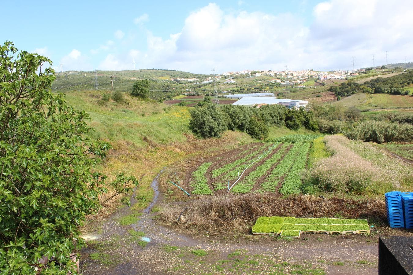 Terreno · Loures — image 16