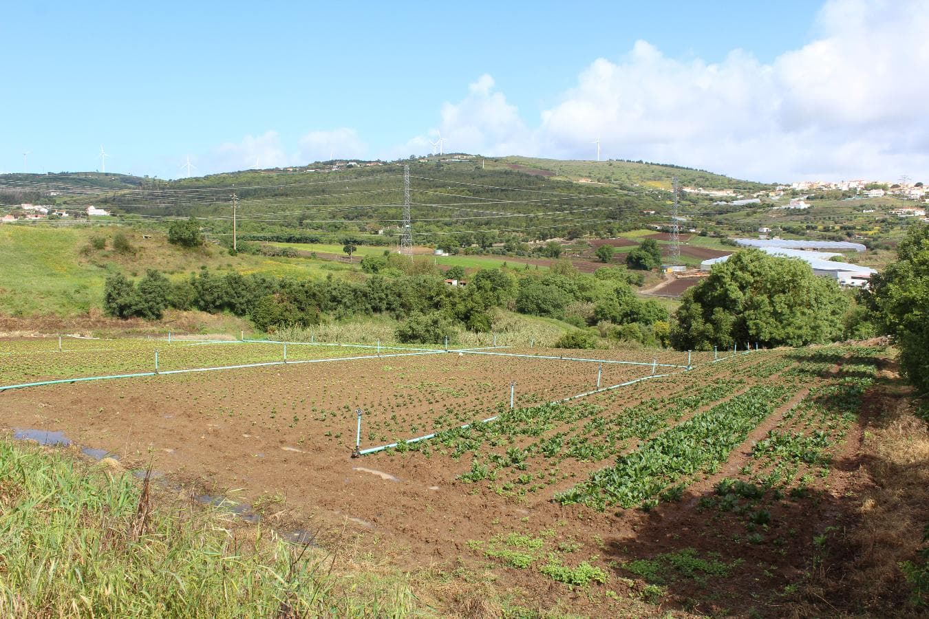 Terreno · Loures — image 15