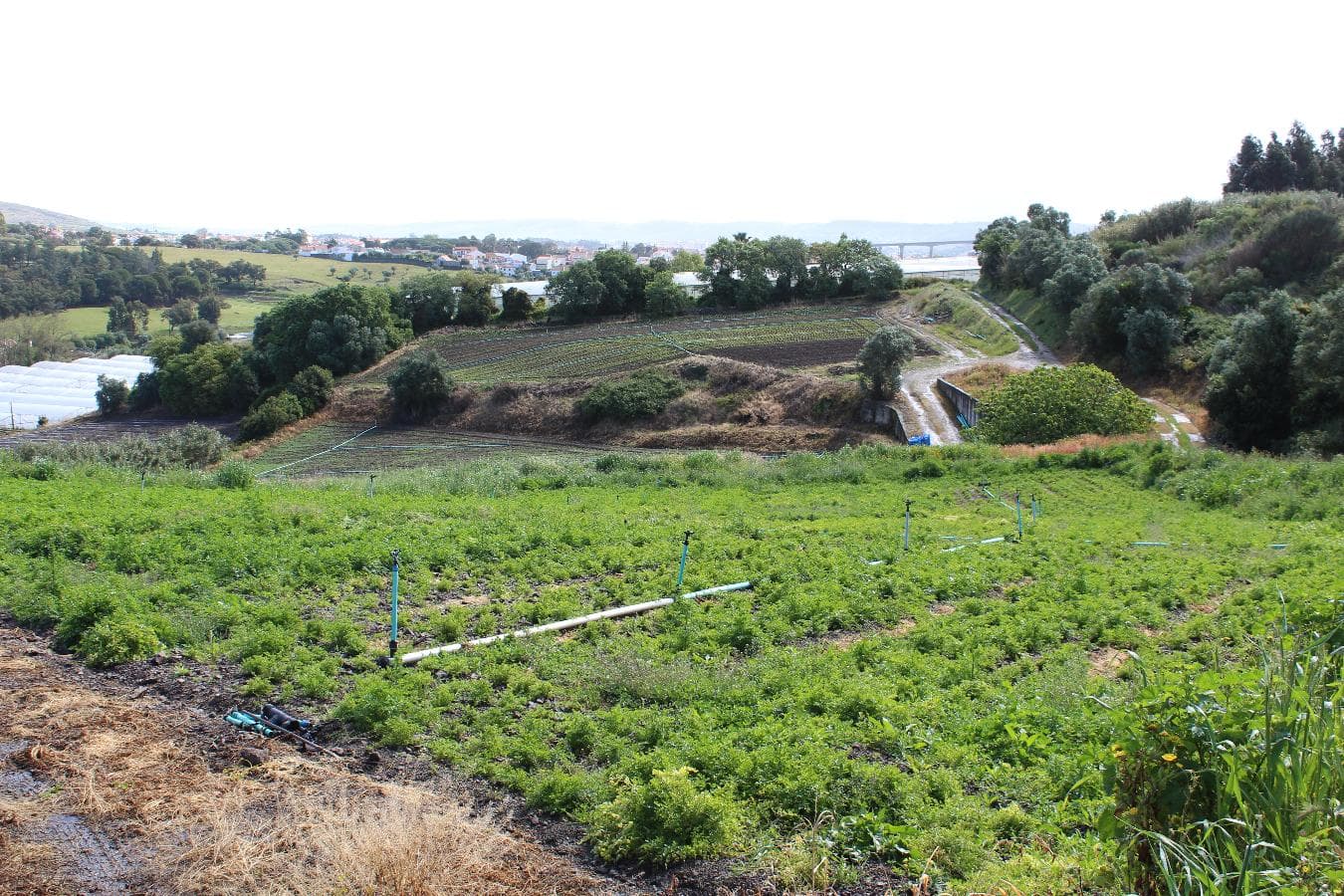 Terreno · Loures — image 7