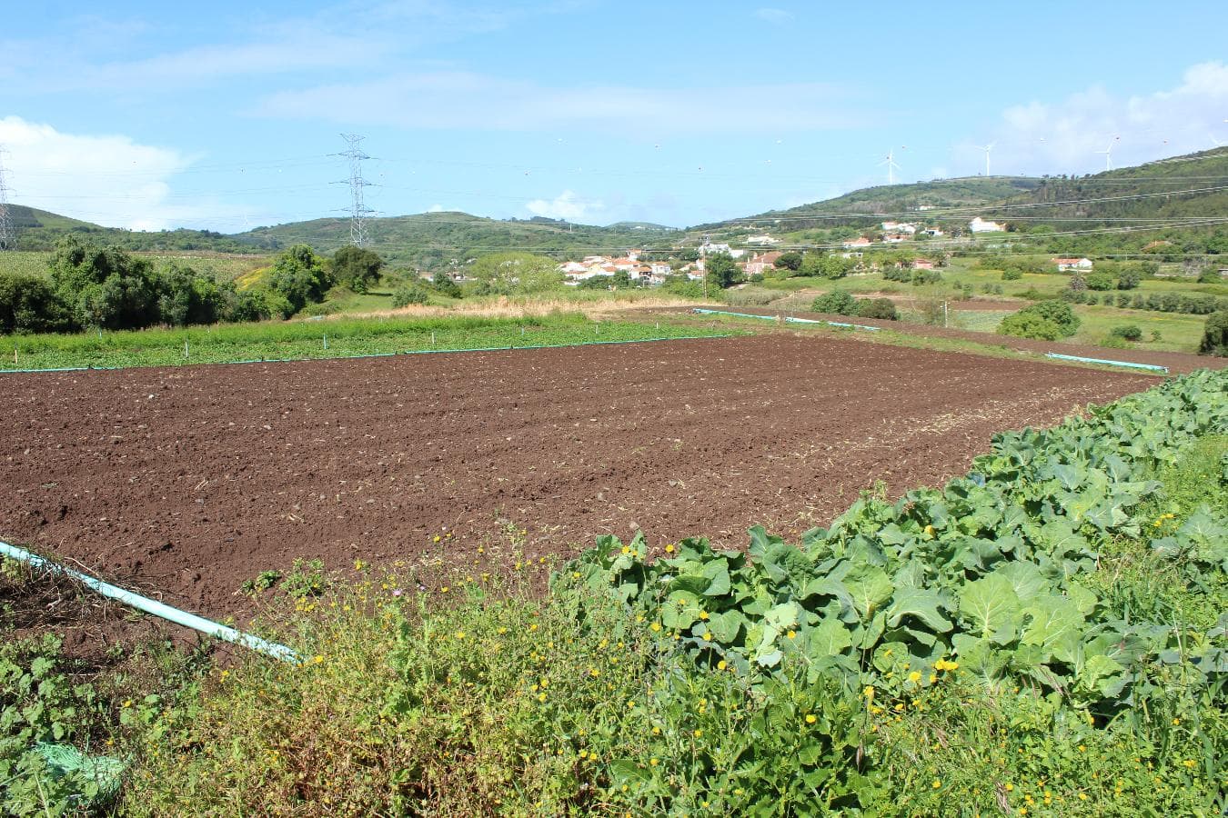 Terreno · Loures — image 8