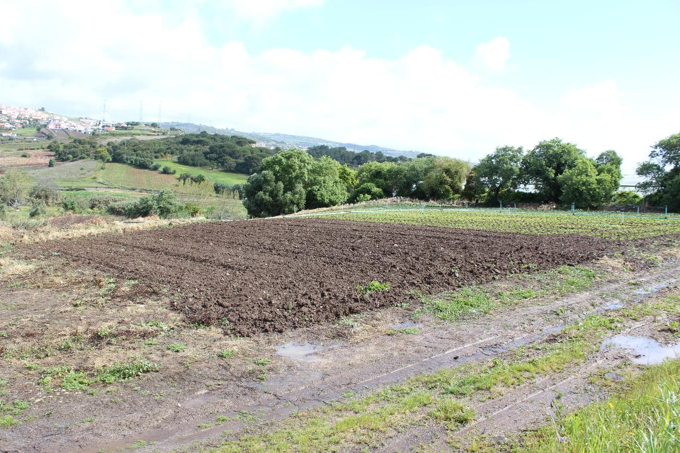 Terreno · Loures — image 9