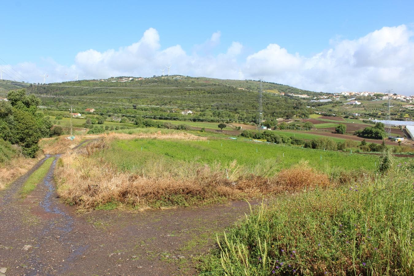 Terreno · Loures — image 1