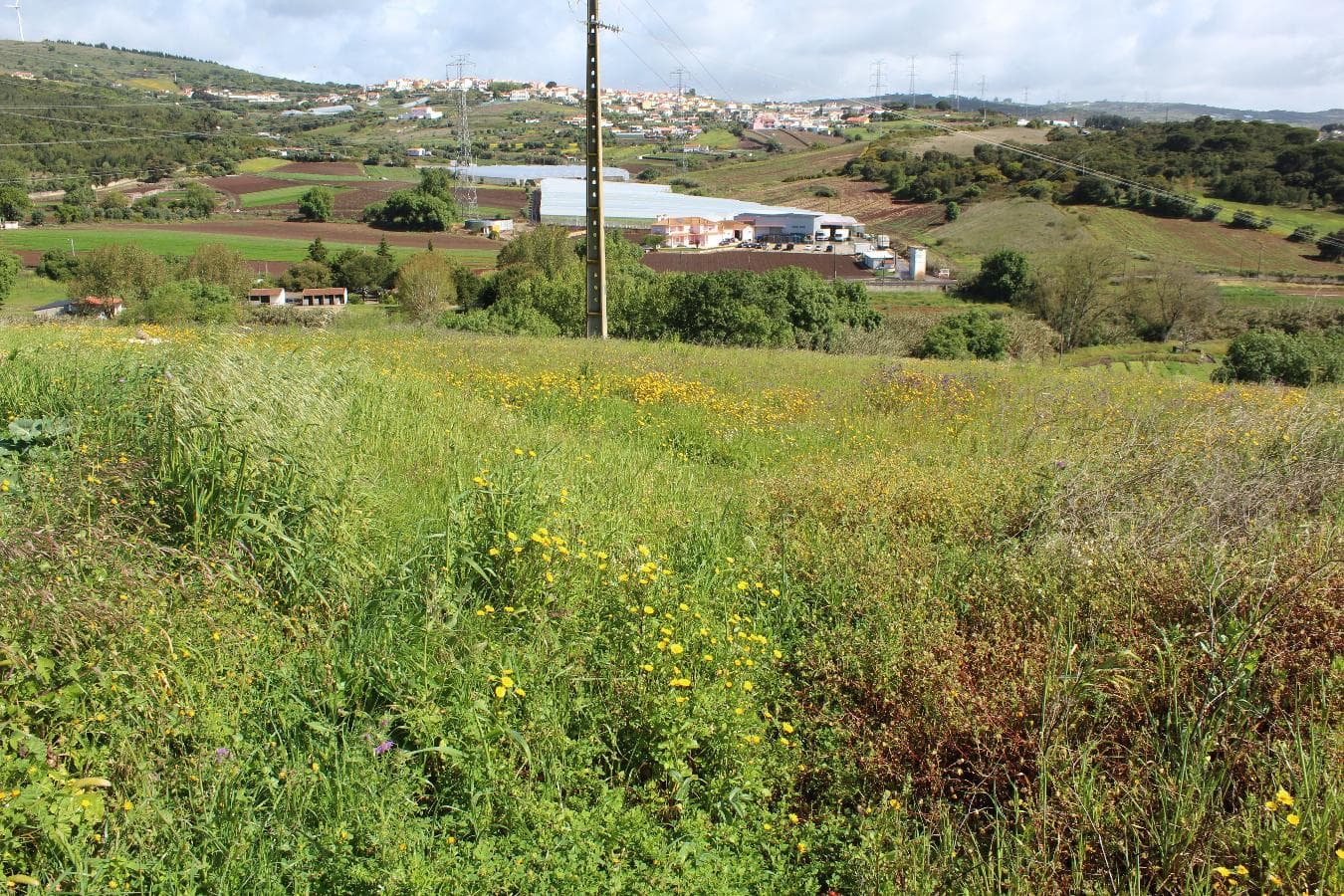 Terreno · Loures — image 11