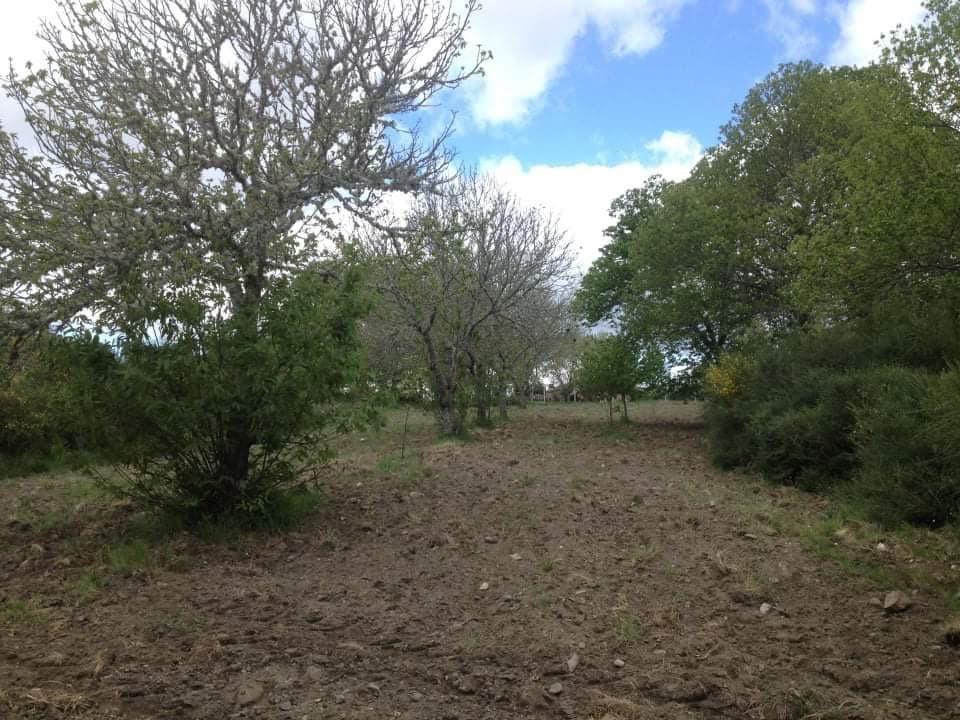 Quinhão Hereditário · Vila Pouca de Aguiar — image 15