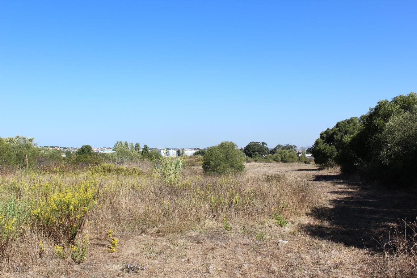 Terreno · Sintra — imagen 3