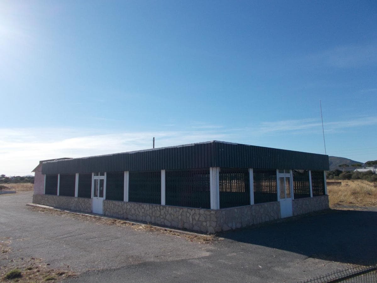 Herdade com 12,4ha · Conceição - Faro — imagem 6