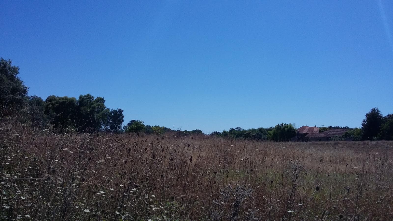 Terreno · Oliveira do Bairro — imagem 3