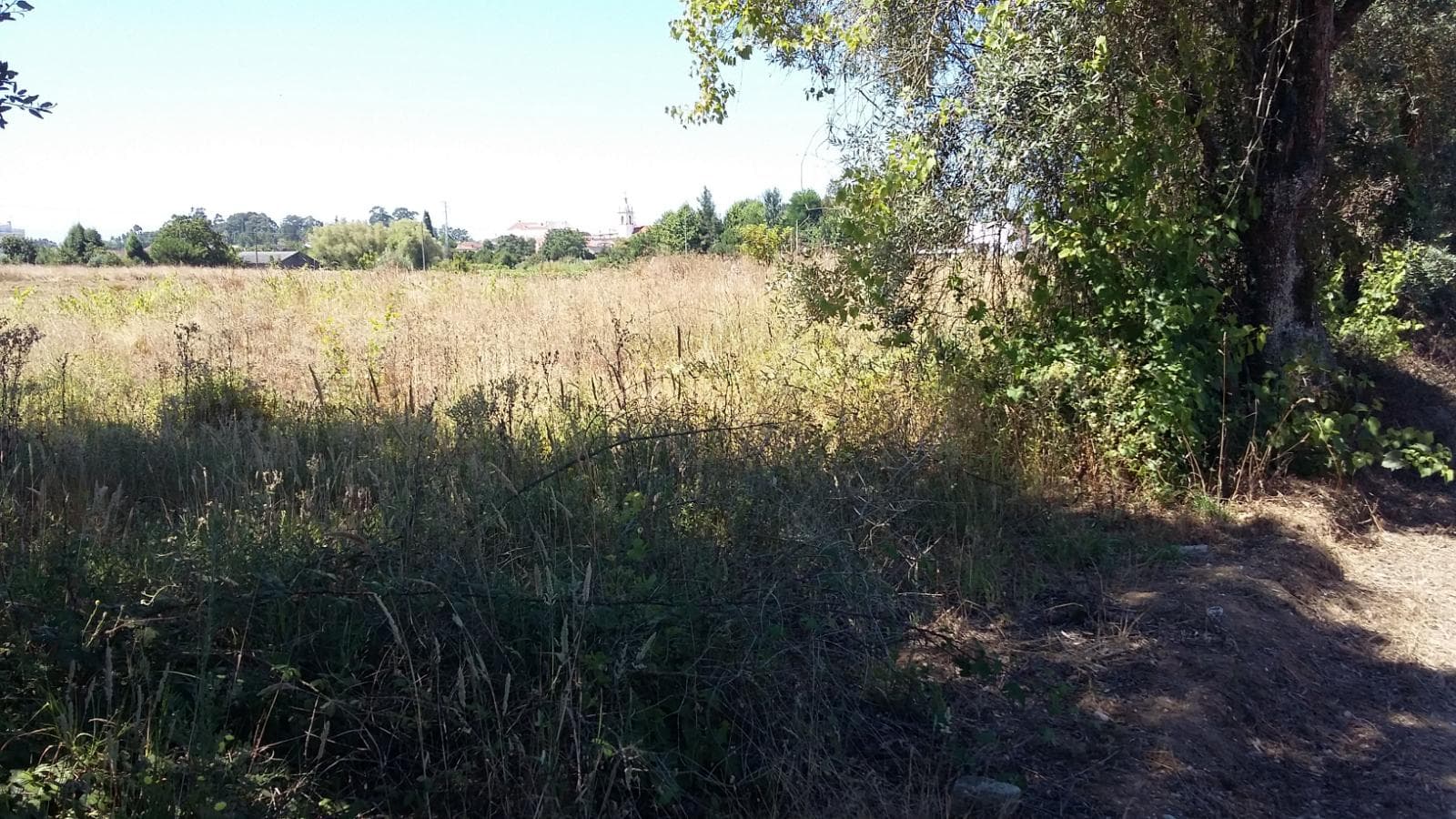 Terreno · Oliveira do Bairro — imagem 7