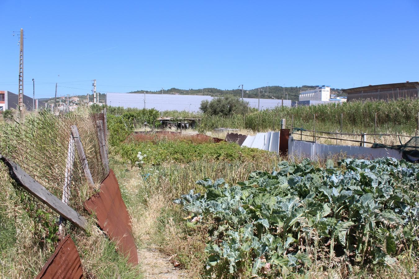 Terreno · Vila Franca de Xira — imagem 10