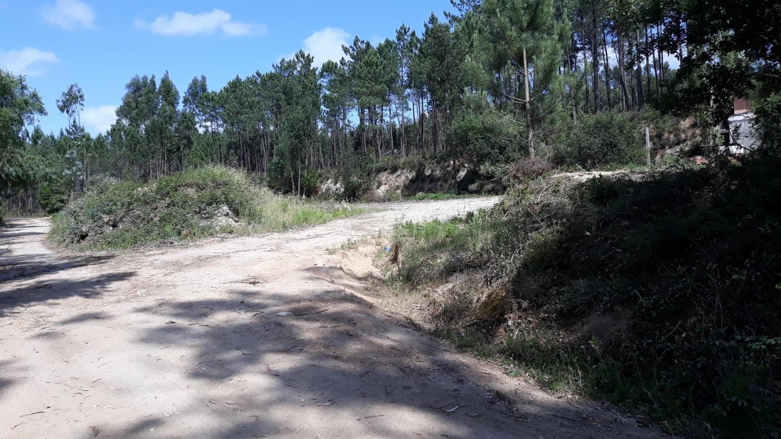 Terreno c/ Benfeitoria · Alcobaça — imagem 4