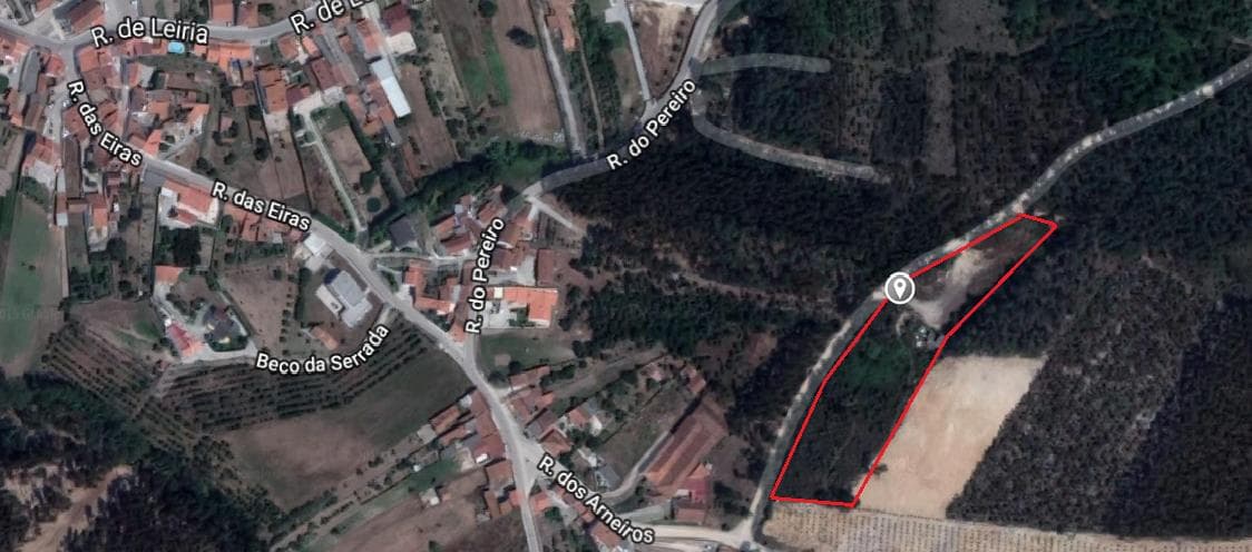 Terreno c/ Benfeitoria · Alcobaça — imagem 8