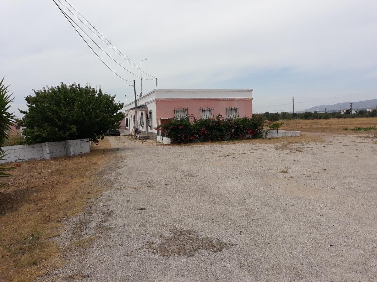 Herdade com 12,4ha · Conceição - Faro — imagem 7