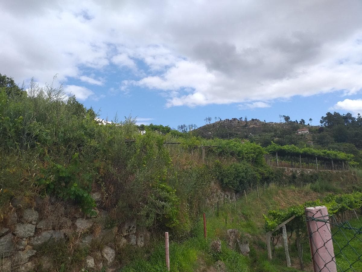 Moradia + Terrenos · Baião — imagen 15