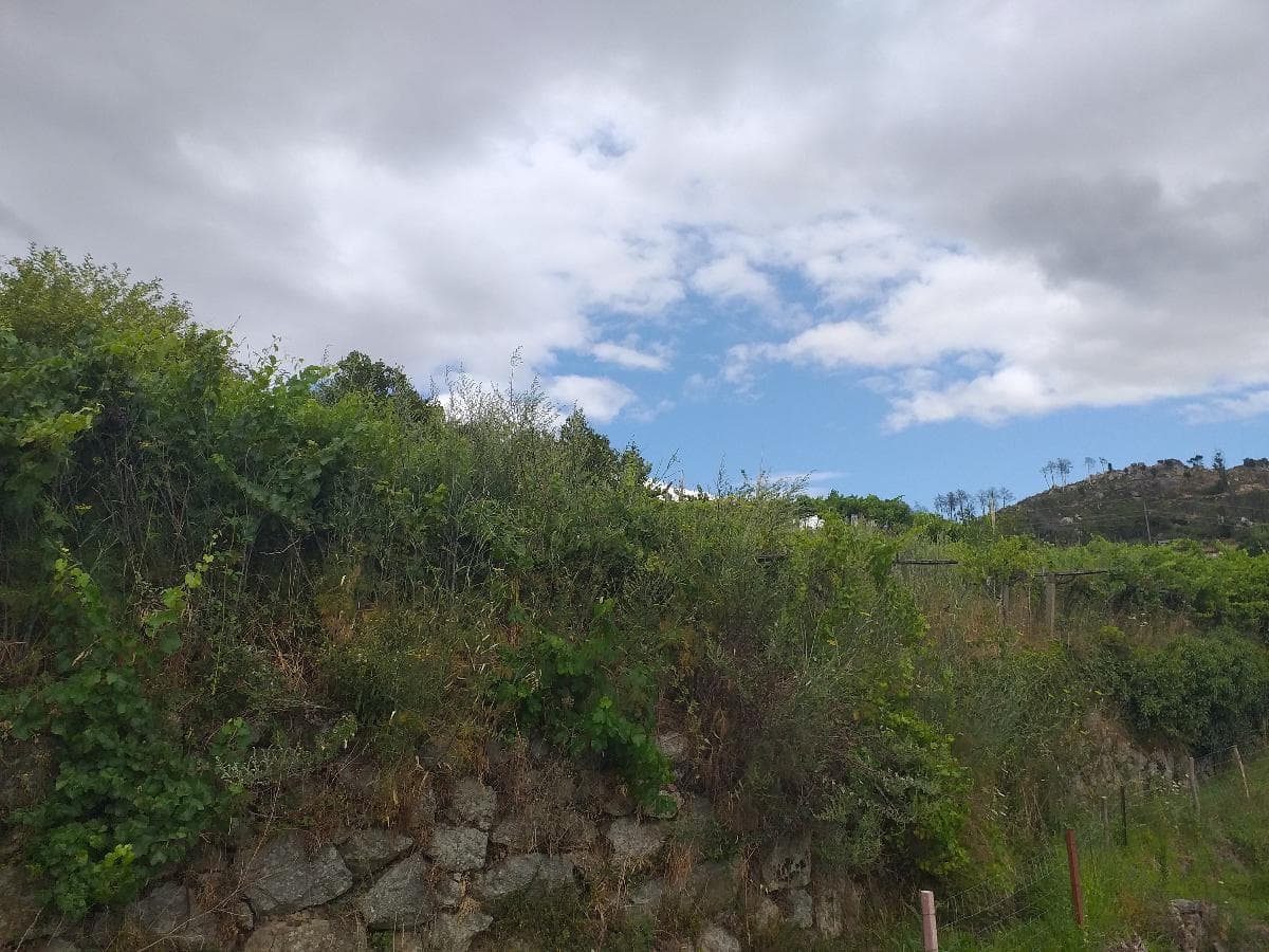 Moradia + Terrenos · Baião — imagen 16