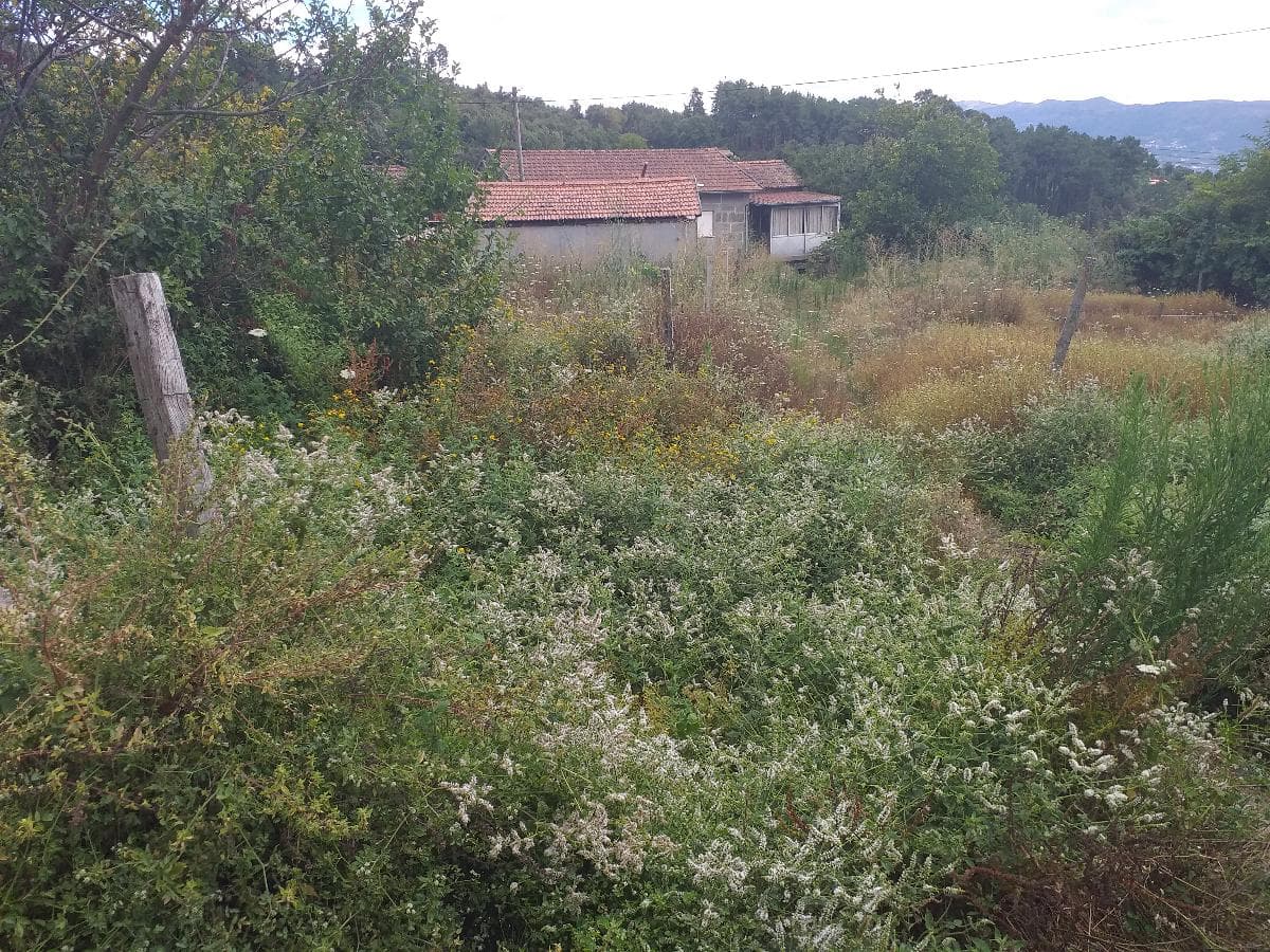Moradia + Terrenos · Baião — imagen 11
