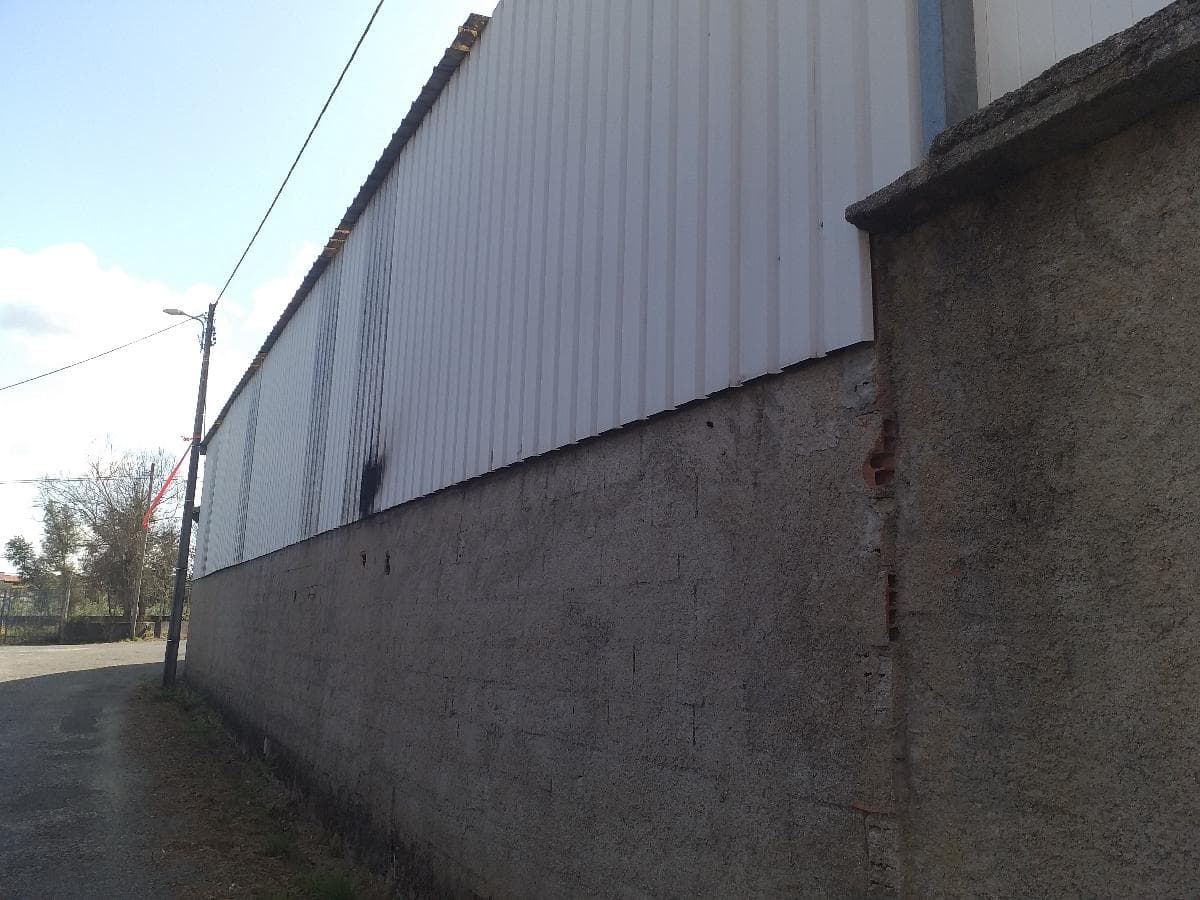 Pavilhão · Vouzela — image 3