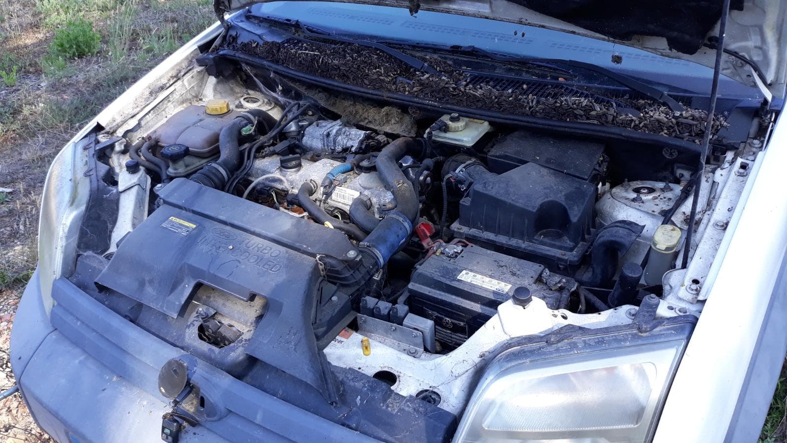 Ford TRANSIT CONNECT — imagen 10