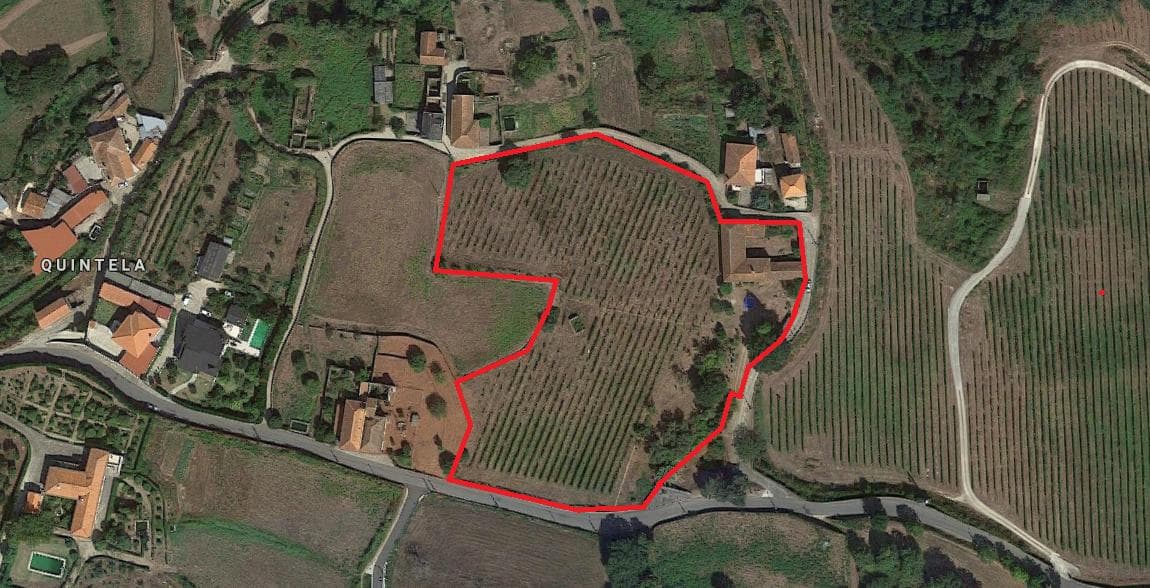 Quinta c/ Vinha · Valença — imagem 39