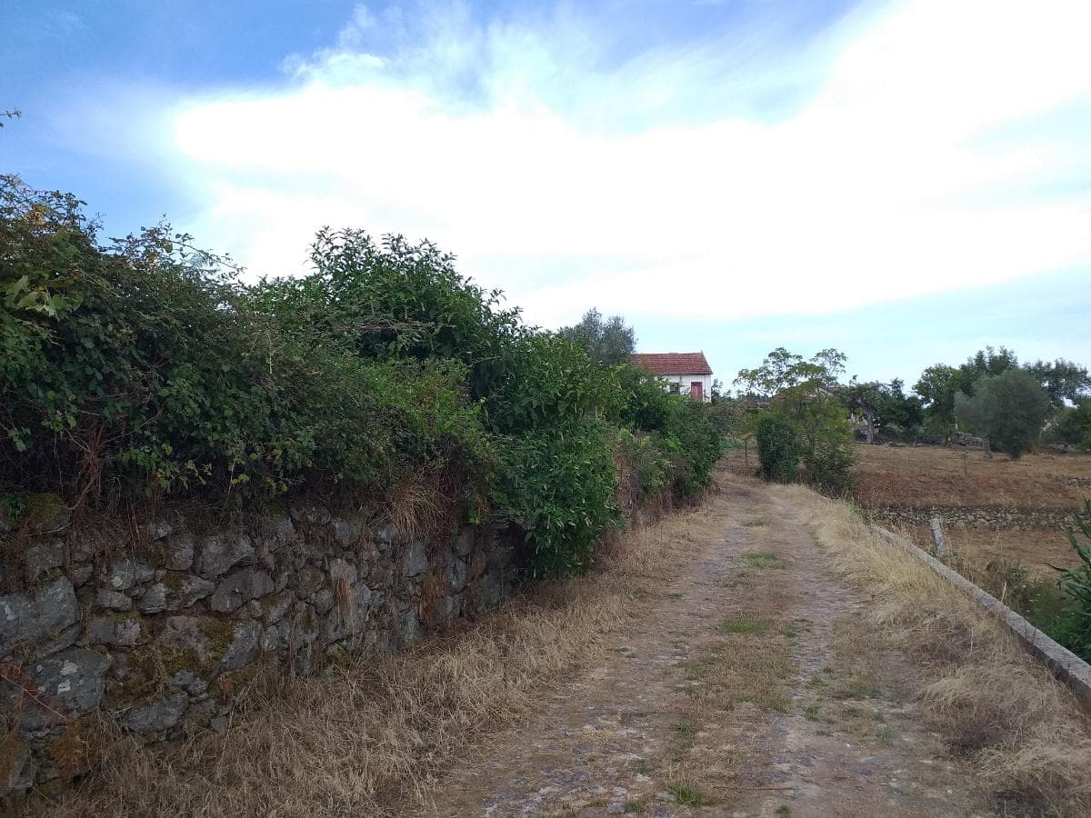 Quinta c/ Vinha · Valença — imagem 9