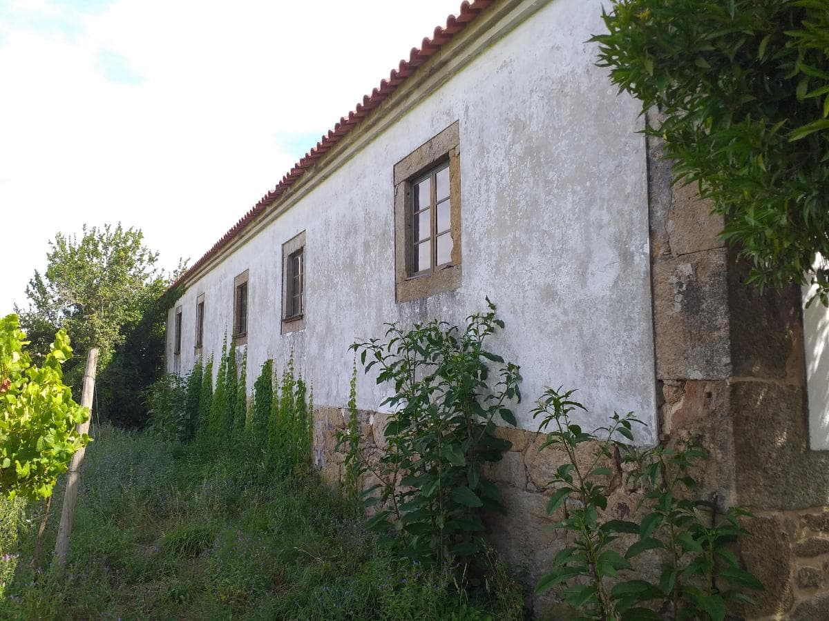 Quinta c/ Vinha · Valença — imagem 12