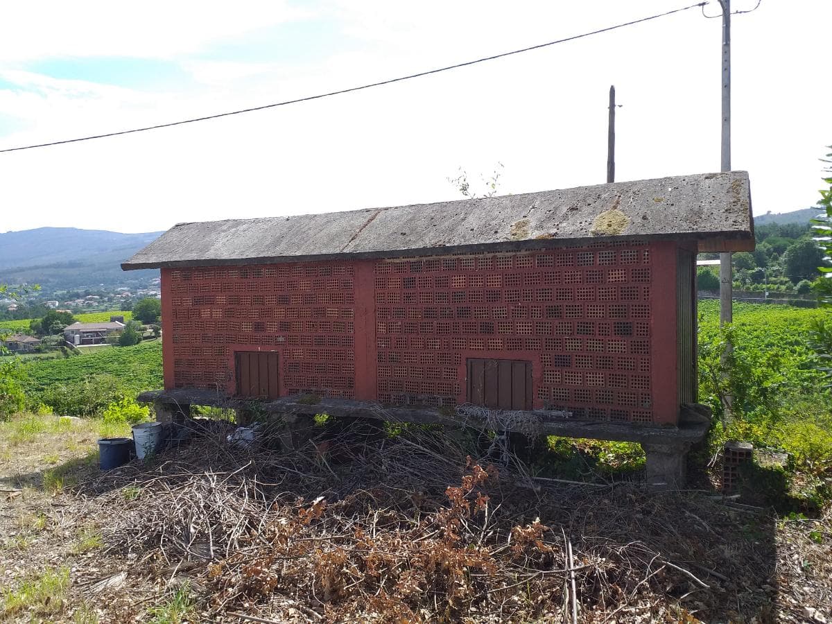 Quinta c/ Vinha · Valença — imagem 4