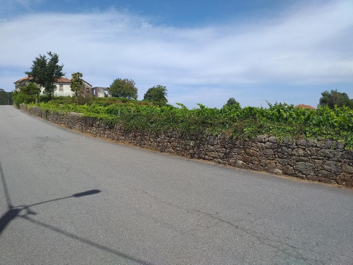 Quinta c/ Vinha · Valença — imagem 23