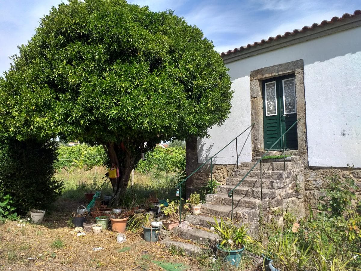 Quinta c/ Vinha · Valença — imagem 28