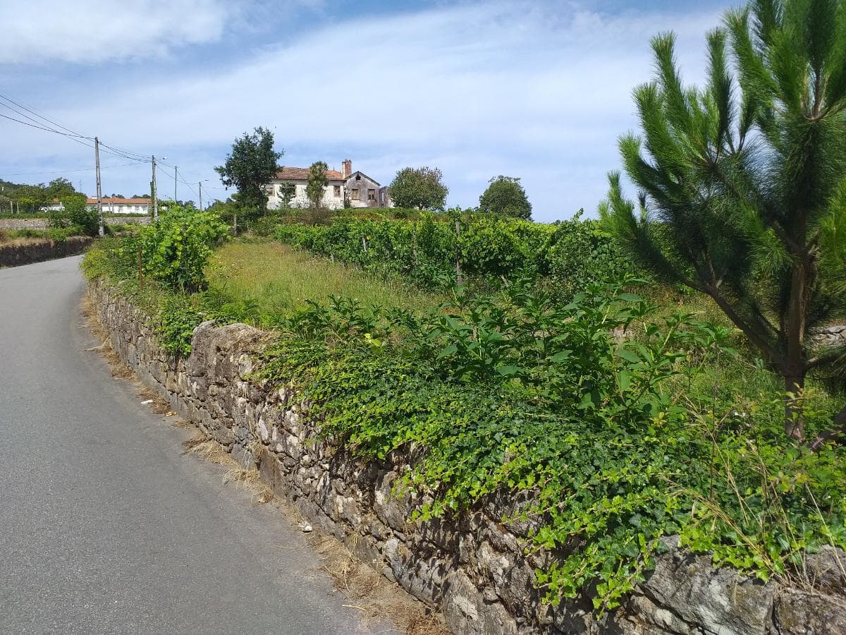 Quinta c/ Vinha · Valença — imagem 30
