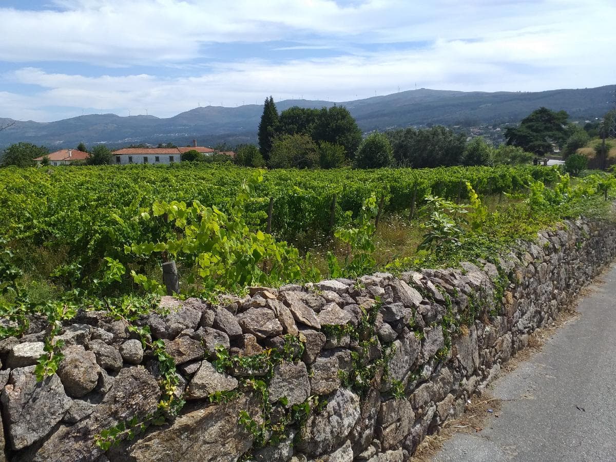 Quinta c/ Vinha · Valença — imagem 32