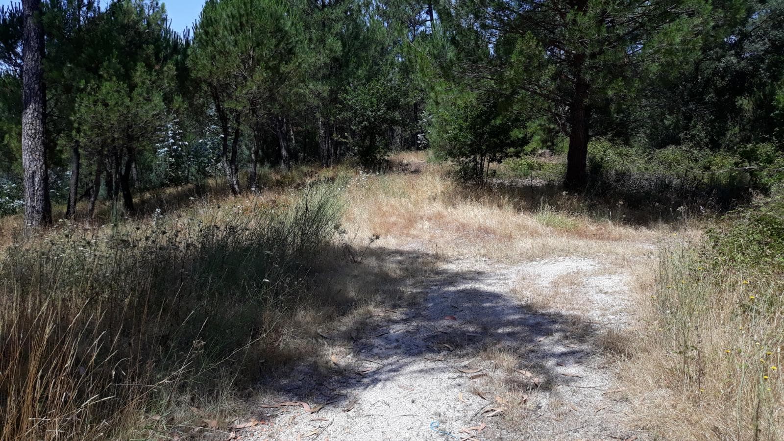 Quinhão Hereditário · Nelas - Viseu — image 4