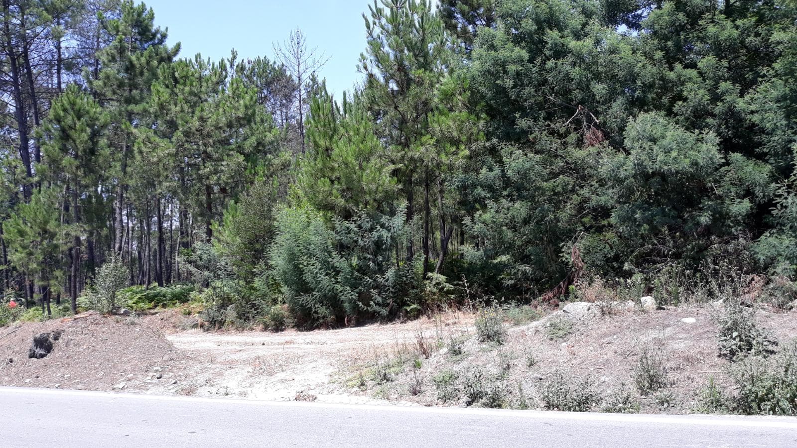 Quinhão Hereditário · Nelas - Viseu — image 6