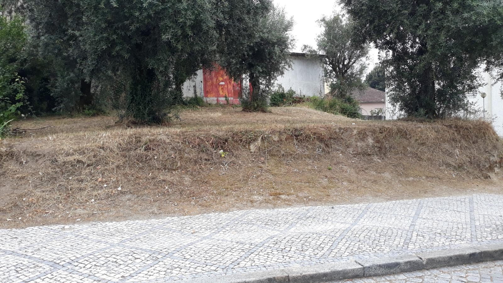 Quinhão Hereditário · Nelas - Viseu — image 9